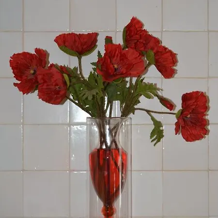 Waterland Achterhuis Appartement Monnickendam